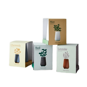 modern-sprout-grow-kit Modern Sprout Grow Glass Garden Grow Kit delivery service
