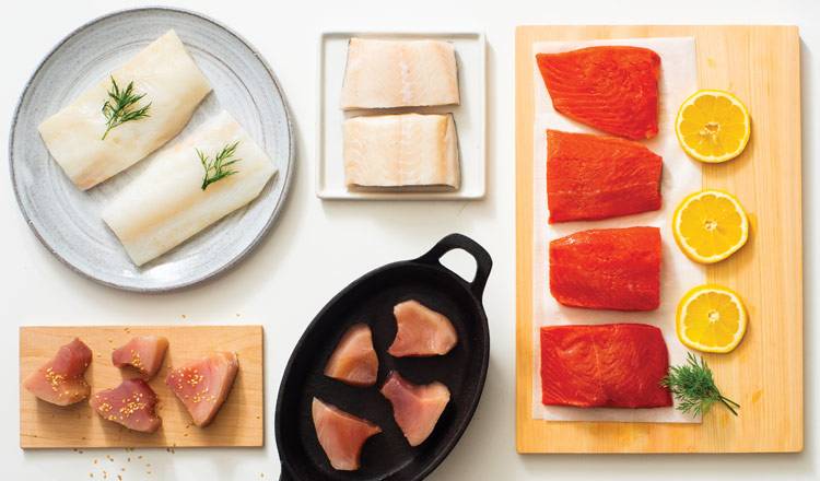 salmon, fish